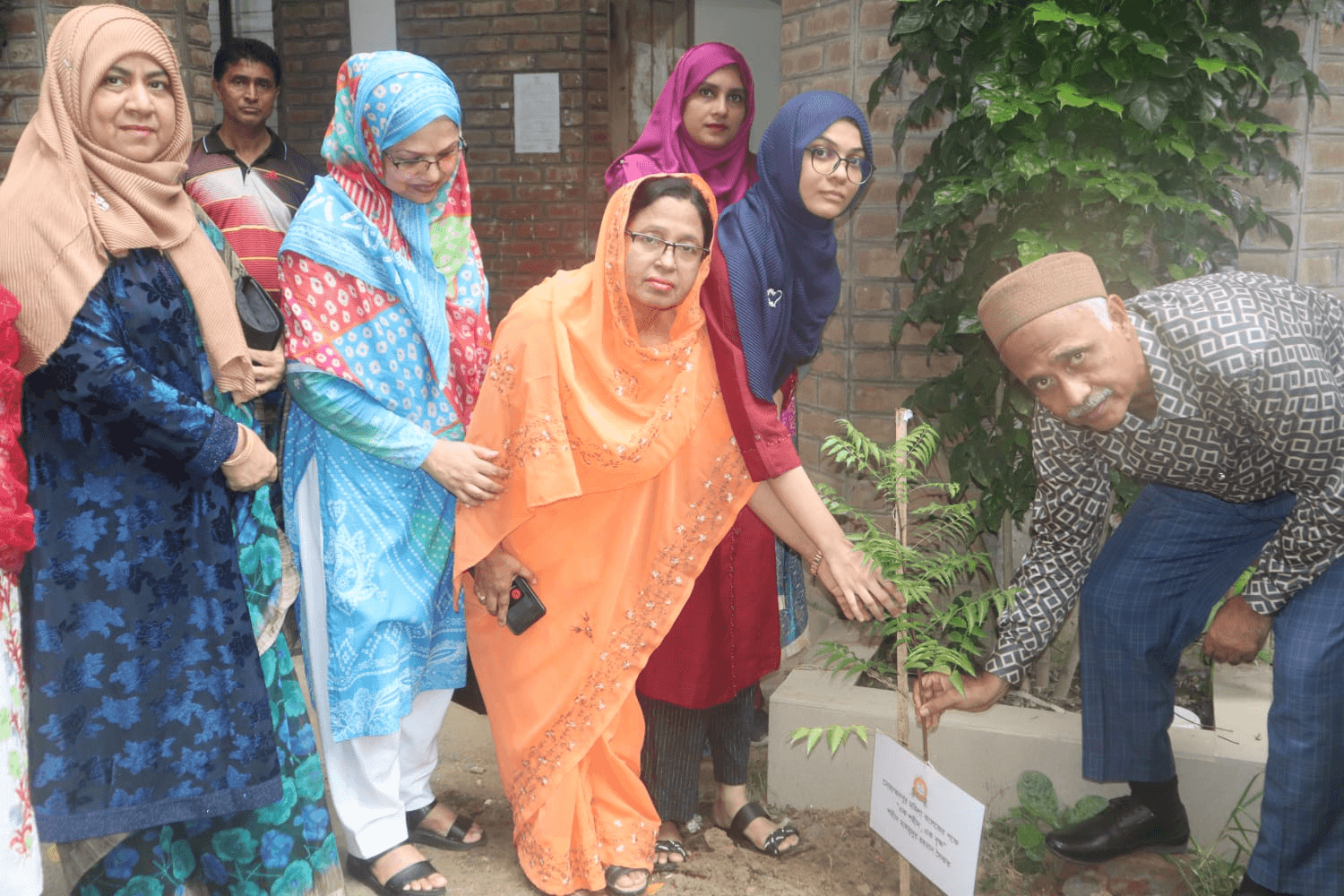 Tree Plantation